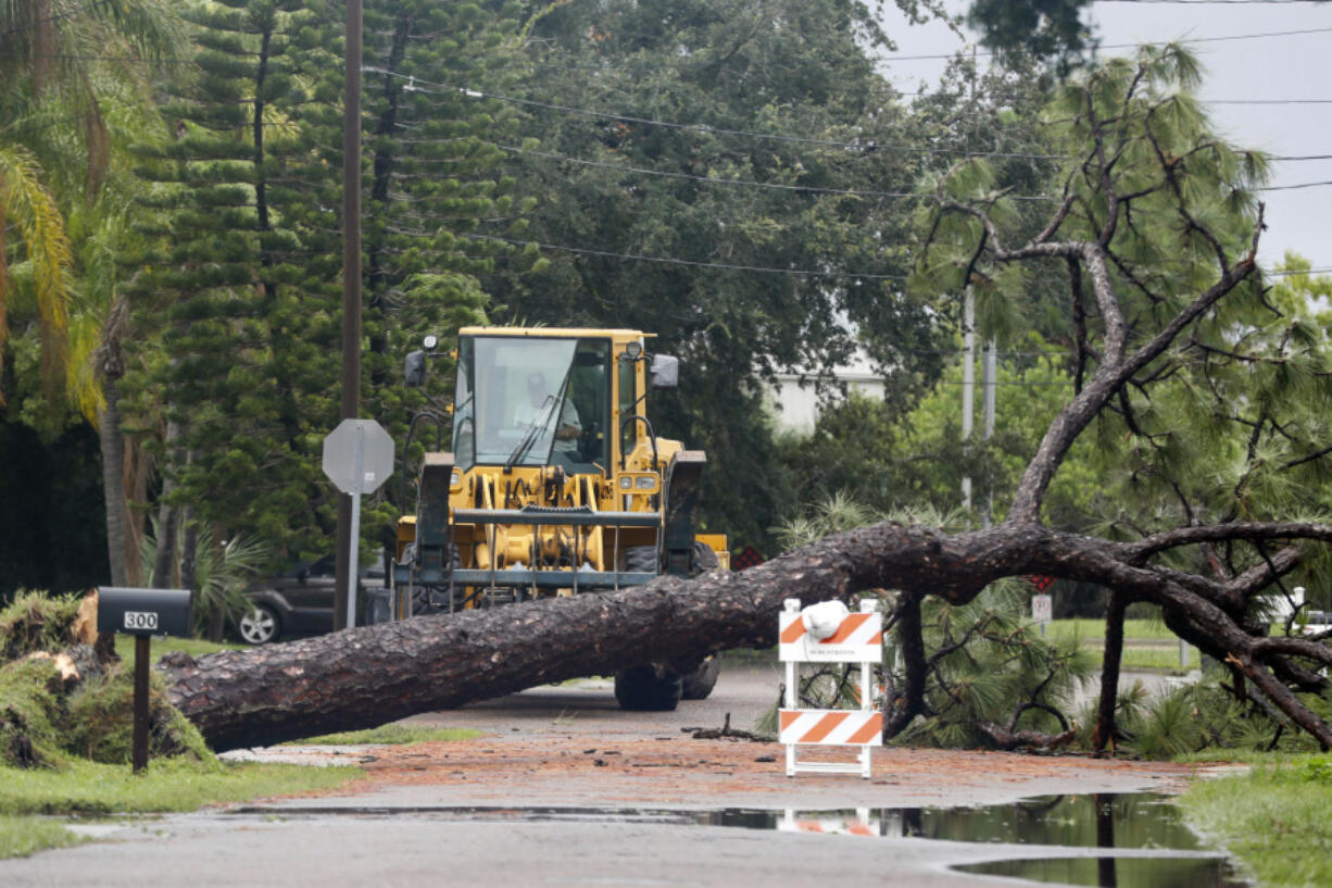 City workers prepare to haul and cut a tree that fell down near the intersection of Woodward Avenue and Dartmouth Avenue, Monday morning, Aug. 5, 2024, in Oldsmar Fla., as Hurricane Debby passed the Tampa Bay area offshore.