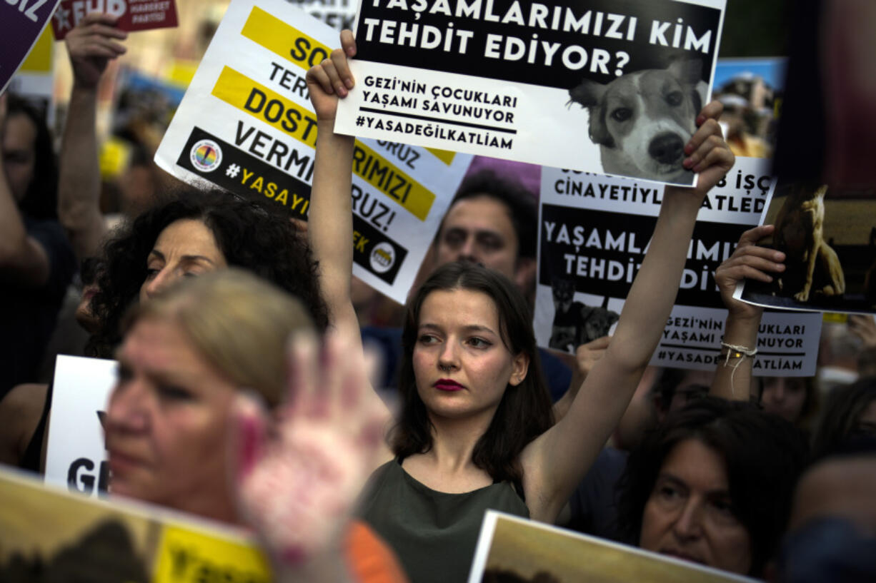 Pro-animal rights activists shout slogans during a protest in Istanbul, Turkey, Monday, July 29, 2024. Legislators on Tuesday approved a new law aimed at removing millions of stray dogs from Turkey&rsquo;s streets that animal-lovers fear will lead to many of the dogs being killed or end up in neglected, overcrowded shelters.