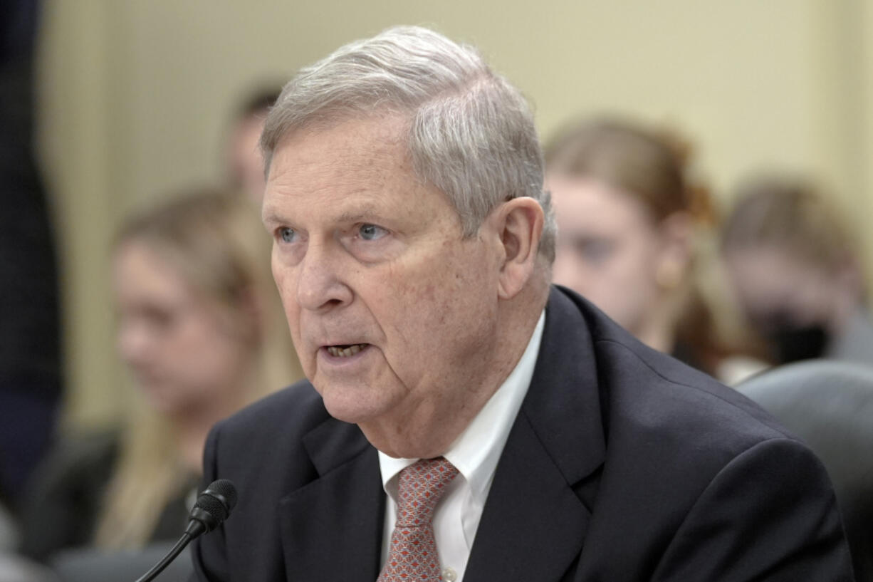 FILE - Agriculture Secretary Tom Vilsack testifies during a Senate Agriculture, Nutrition, and Forestry oversight hearing on the Department of Agriculture on Capitol Hill Wednesday, Feb. 28, 2024, in Washington.