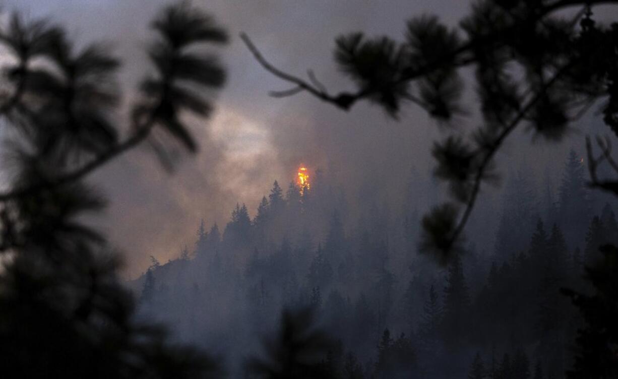 A tree burns in the Pioneer Fire on Tuesday, Aug. 6, 2024, in Stehekin, Wash.