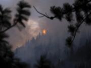 A tree burns in the Pioneer Fire on Tuesday, Aug. 6, 2024, in Stehekin, Wash.