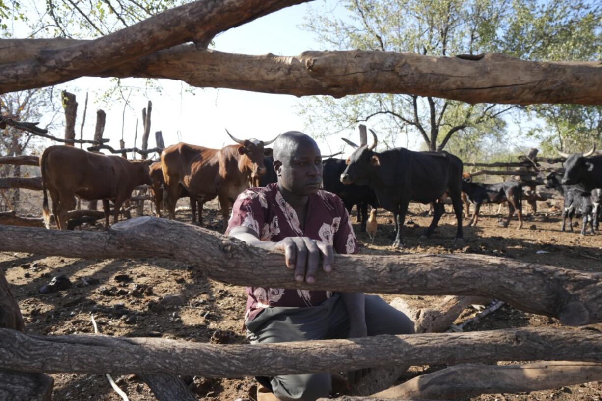 Tembanechako Mastick, a former poacher who now teaches conservation, crouches July 10 inside his cattle pen in Chiredzi, Zimbabwe, near the Save Valley Conservancy.