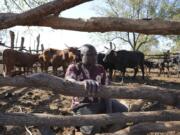 Tembanechako Mastick, a former poacher who now teaches conservation, crouches July 10 inside his cattle pen in Chiredzi, Zimbabwe, near the Save Valley Conservancy.