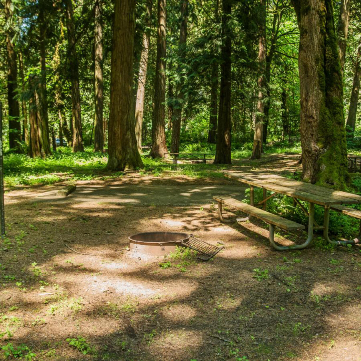 A campground at Paradise Point State Park.