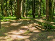 A campground at Paradise Point State Park.