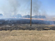 The flaming carcass of an electrocuted bird was determined to be the cause of the Quail Hollow fire in July in Arapahoe County, Colorado, that burned more than 1,100 acres and destroyed property southeast of Byers, according to a report released by the Arapahoe County Sheriff&Ccedil;&fnof;&Ugrave;s Office.