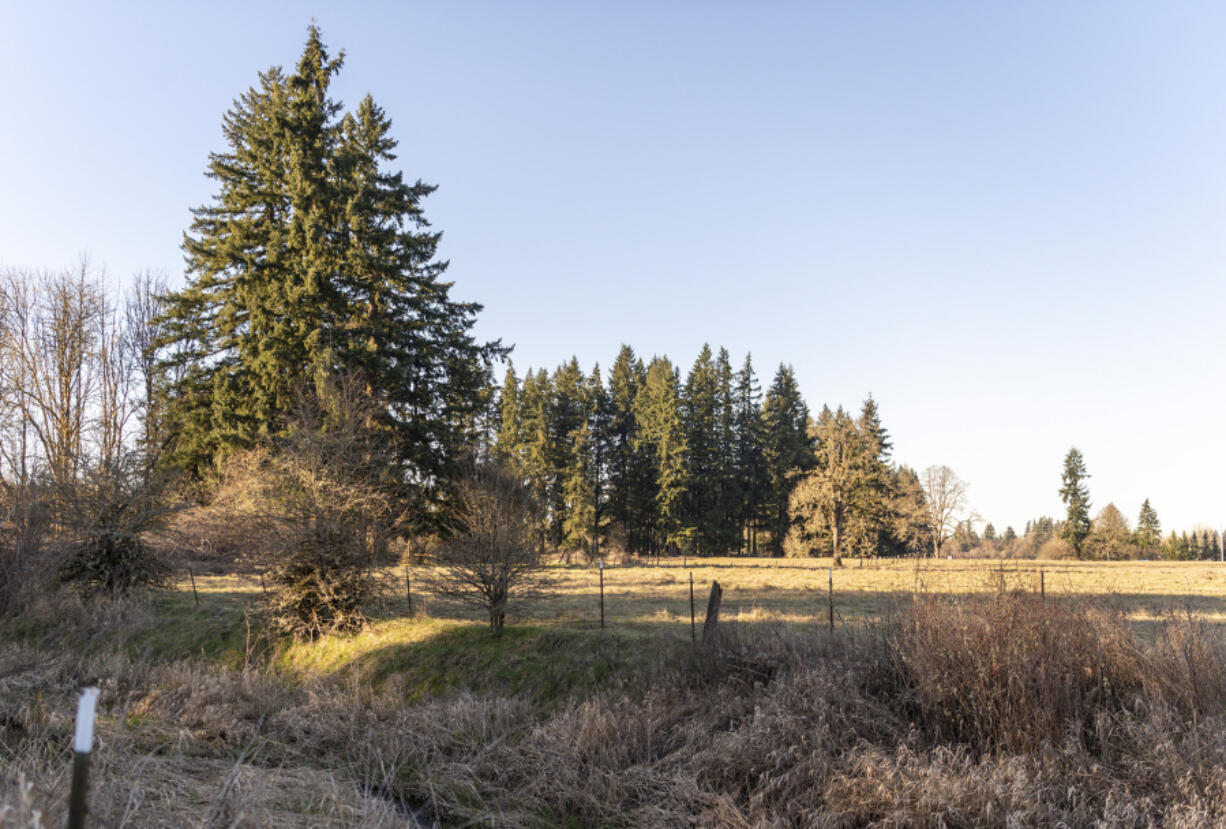 Trees and pastureland stand near near Hockinson Meadows Community Park. Hockinson School District bought a 40-acre parcel at the park&rsquo;s northeast corner last year.