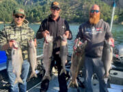 Chinook limits for three lucky anglers. They took these fish by hover fishing with Guide Dave Mallahan in Drano Lake.