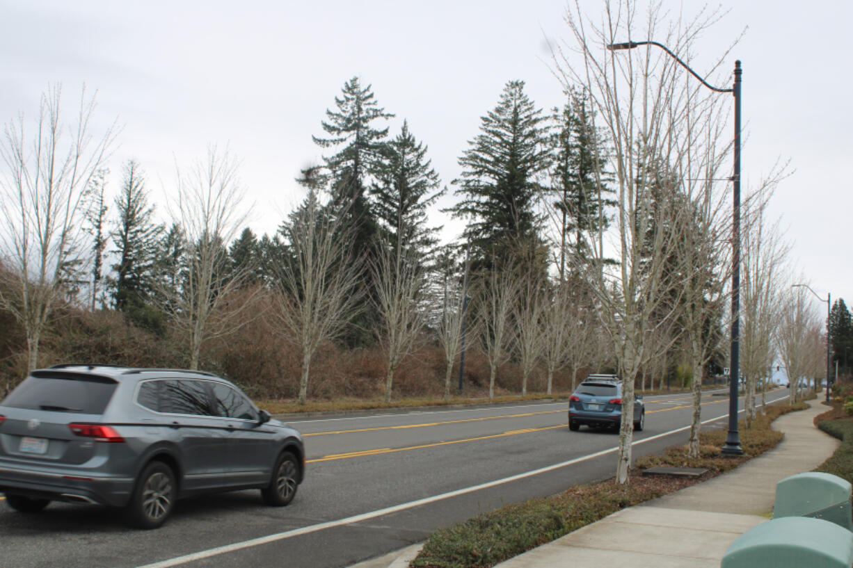 Cars drive past the Kielo at Grass Valley apartments off Northwest 38th Avenue in west Camas, near undeveloped land owned by the Church of Jesus Christ of Latter-day Saints, on March 11.