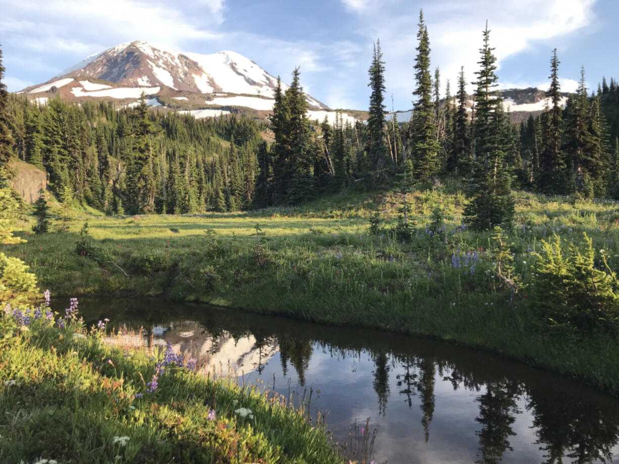 Killen Creek meanders through a meadow and crosses the Pacific Crest National Scenic Trail No. 2000 on the northwest side of Mount Adams. This portion of the wilderness area has escaped the four fires that have burned on the peak in the past 16 years.