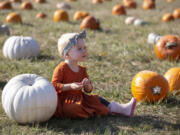 Cassidy Forsburg, 2, of Battle Ground, sits in the pumpkin patch at Pomeroy Farm in Yacolt on Oct. 15, 2022.