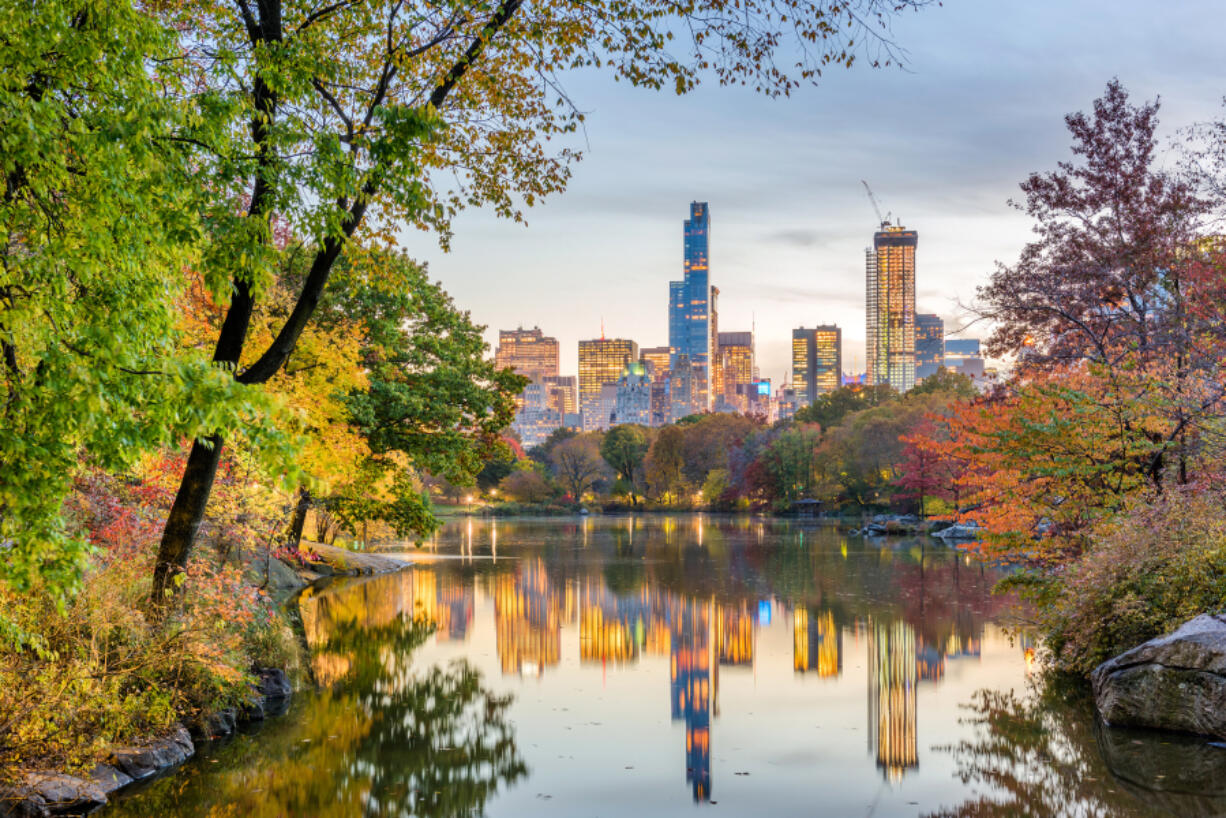 Central Park during autumn in New York City.