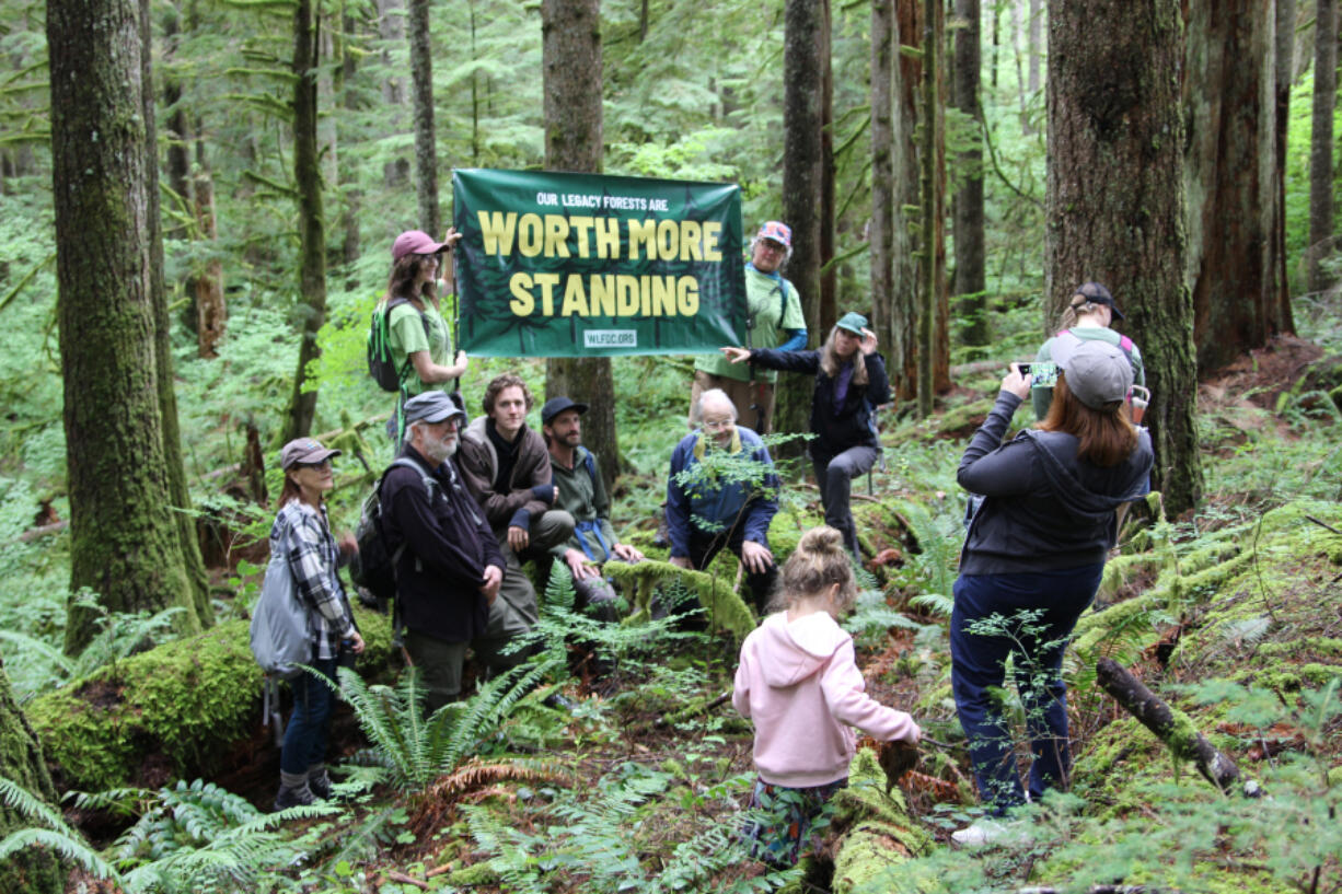 During an August forest walk through the Dabbler timberland, residents and volunteers hold up a sign calling for its preservation. A planned timber harvest is on the state Board of Natural Resource November agenda.