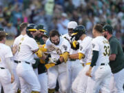 Oakland Athletics' Shea Langeliers, center, is mobbed by teammates after hitting a winning solo home run against the Seattle Mariners in a baseball game Monday, Sept. 2, 2024, in Oakland, Calif. (AP Photo/Godofredo A.