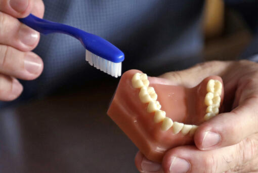 FILE - A dentist holds a model of teeth and a toothbrush in Seattle on Aug. 3, 2018.