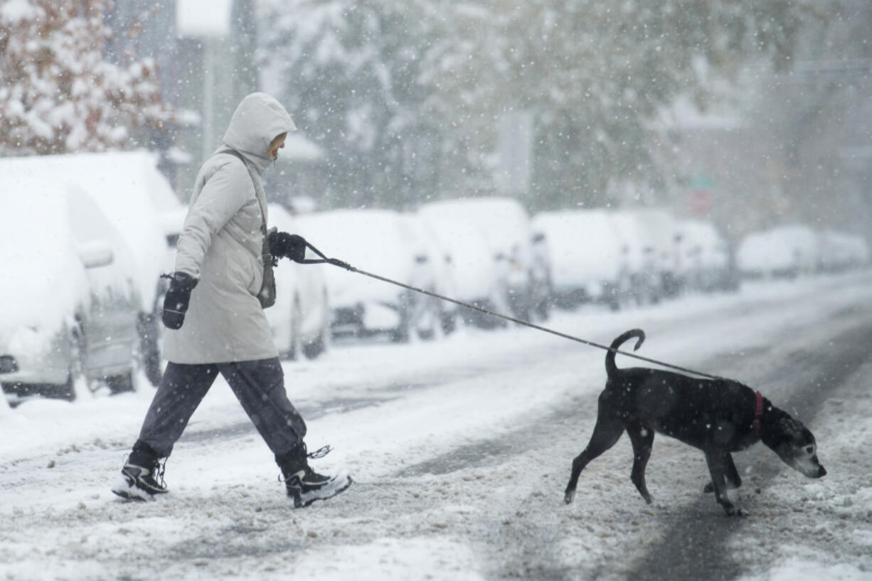 FILE - A woman walks a dog across the street in Denver on Oct. 29, 2023.