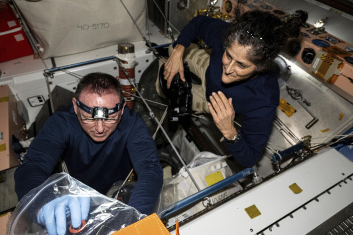 In this photo provided by NASA, astronauts Butch Wilmore, left, and Suni Williams inspect safety hardware aboard the International Space Station on Aug. 9, 2024.