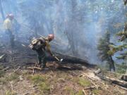 Firefighters work on mop up on the east flank of the Stave Fire,  part of the Kachess Complex, in the Wenatchee Mountains.