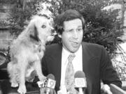 FILE -  Chevy Chase gets his ear licked from co-star Benji the dog, during a news conference in Los Angeles announcing their movie &ldquo;Oh Heavenly Dog&rdquo; on Sept. 6, 1979.