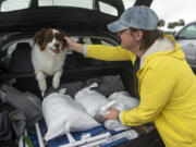 Lindsey Ranney and her dog Fig fill the trunk of Ranney&#039;s car with sandbags in preparation for Hurricane Francine from a pile of sand provided by Harrison County at the end of Courthouse Boulevard in Gulfport, Miss. on Tuesday, Sept. 10, 2024.