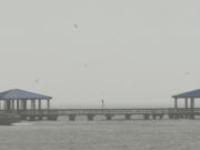 Pier outside the East Harbor in Pass Christian, Miss. during excessive rainfall from Hurricane Francine Wednesday, Sept. 11, 2024.