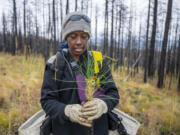 Annie Topal plants a seedling Sept. 21 during a restoration project on the burn scar left by the 2022 Hermit&rsquo;s Peak/Calf Canyon Fire near Mora, N.M. (Roberto E.