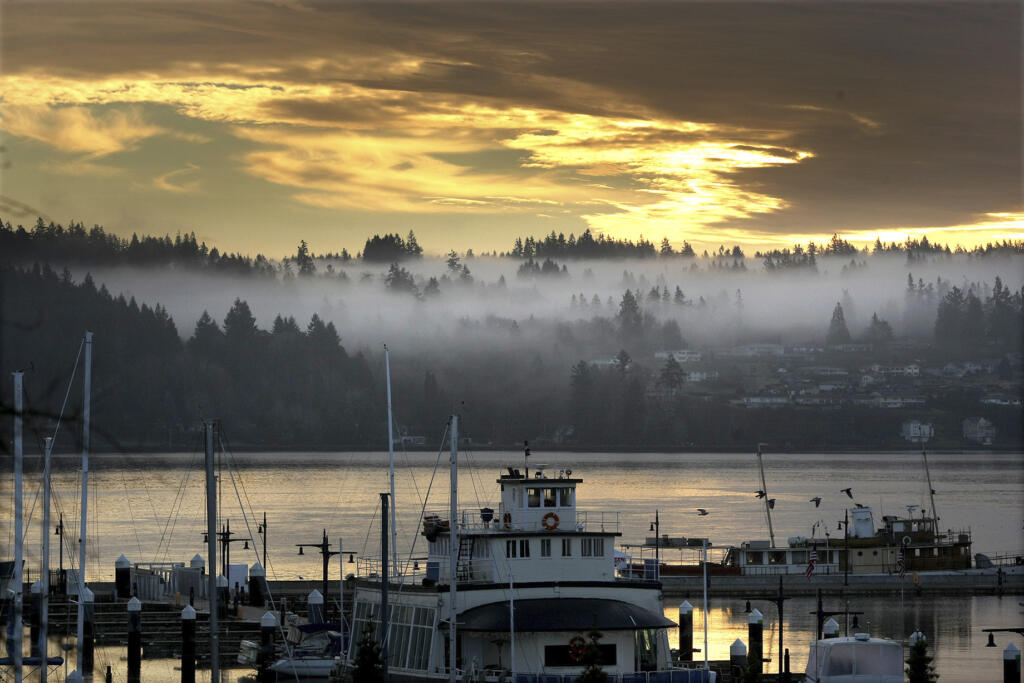 FILE - Low clouds hover in the trees in Port Orchard seen from the Bremerton Harborside Marina in Bremerton, Wash., on Dec. 22, 2014.