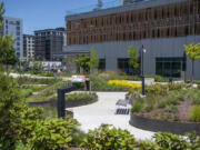 A path winds through flower beds at the Port of Vancouver&rsquo;s Terminal 1. The port used bird-friendly building practices for its Terminal 1 reconstruction project.