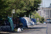 Tents line the side of the road along West 11th Street in downtown Vancouver in June. Council for the Homeless data shows the number of people experiencing homelessness in Clark County decreased for the first time in at least five years.