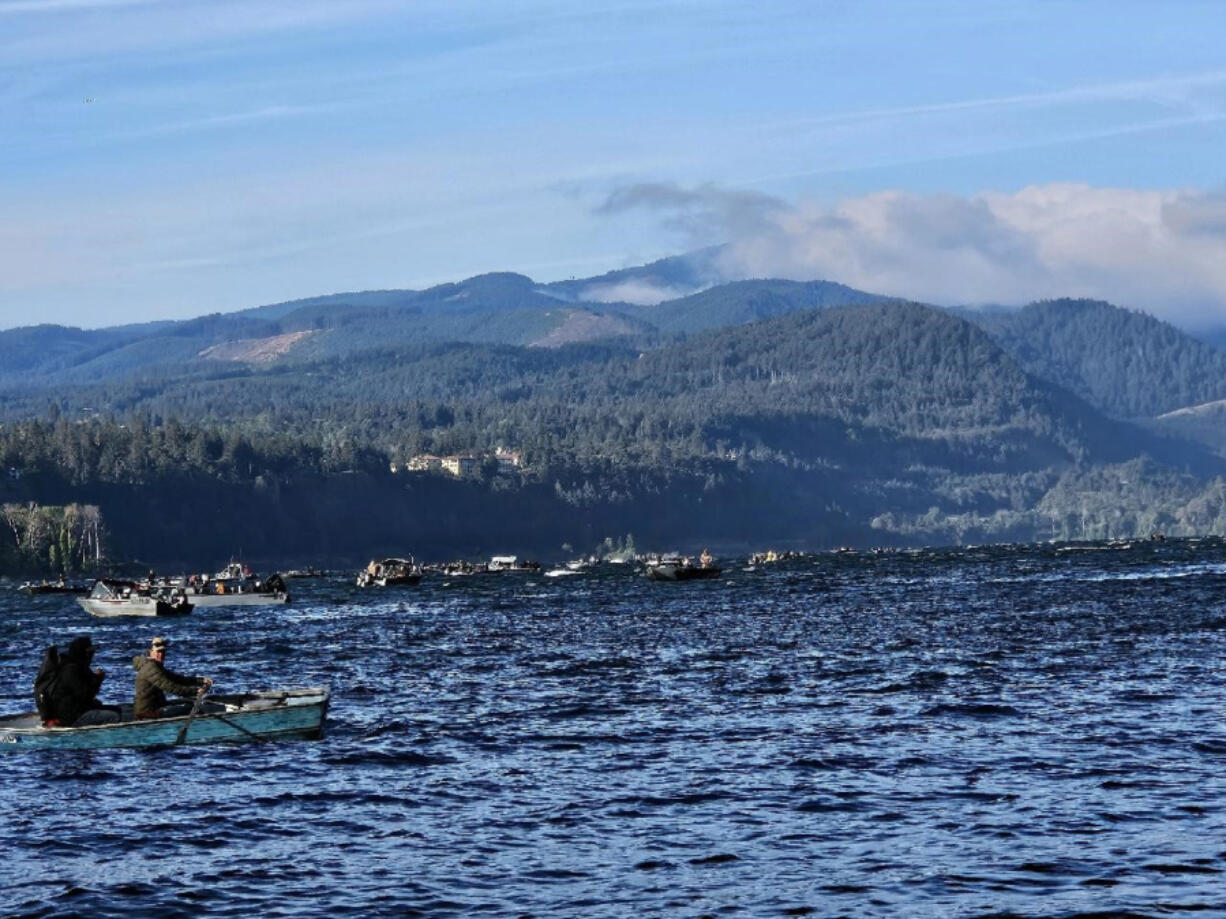 Anglers try their hand for coho and Chinook at the mouth of the White Salmon River. While the tributaries are heating up, anglers continue to take chinook and coho in the main stem Columbia River.