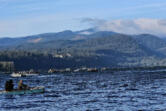 Anglers try their hand for coho and Chinook at the mouth of the White Salmon River. While the tributaries are heating up, anglers continue to take chinook and coho in the main stem Columbia River.