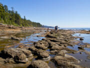 The West Coast Trail sits off the west coast of British Columbia on Vancouver Island and takes up to a week to complete.