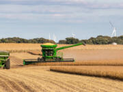 A combine harvester collects soybeans. China, a potential target in a trade war, is the largest buyer of U.S. soybeans.