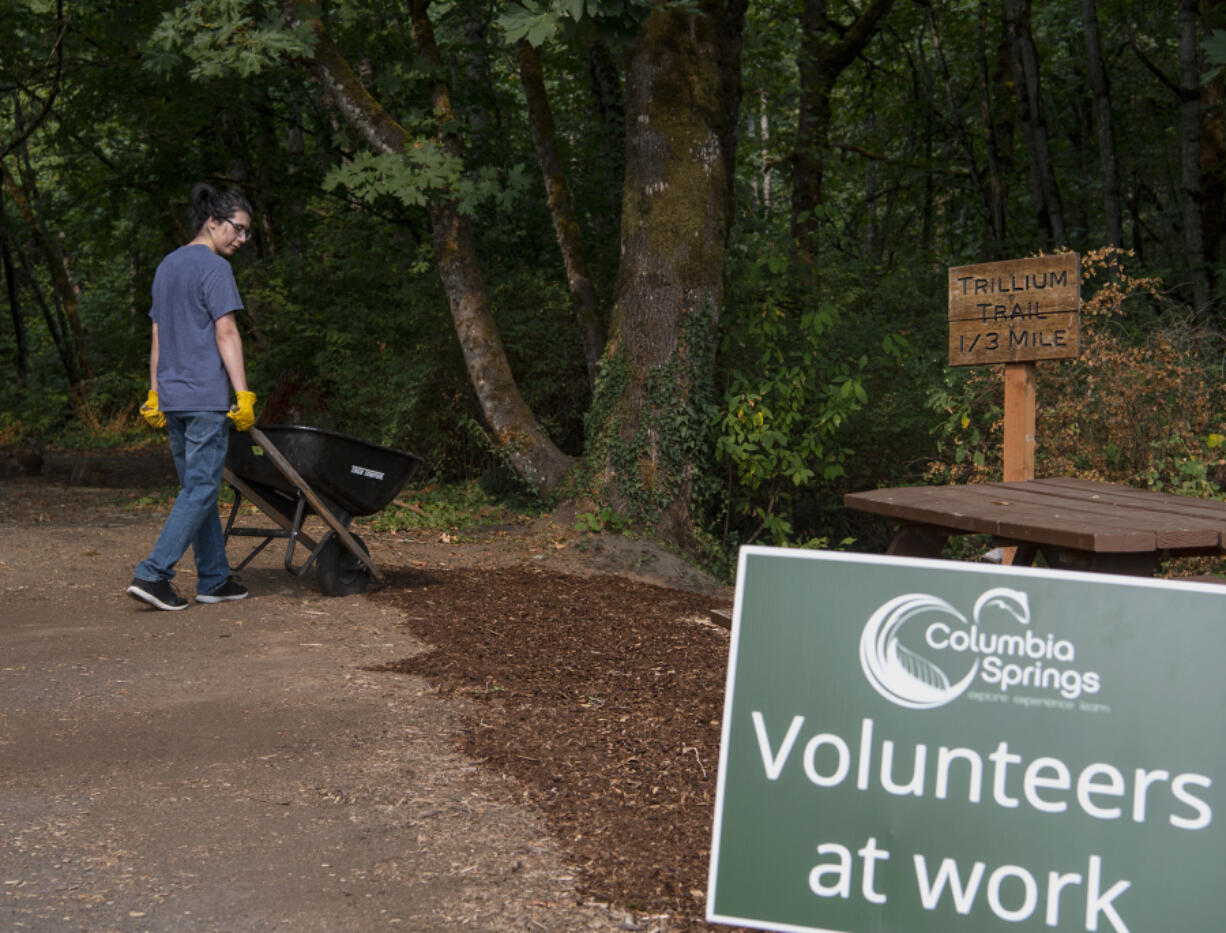 Alex Dong rolls a wheelbarrow full of bark down the Trillium Trail during a volunteer event Aug. 14, 2021, at the Columbia Springs environmental center. The city of Vancouver may cut funding the to nonprofit as part of an effort to balance the budget.