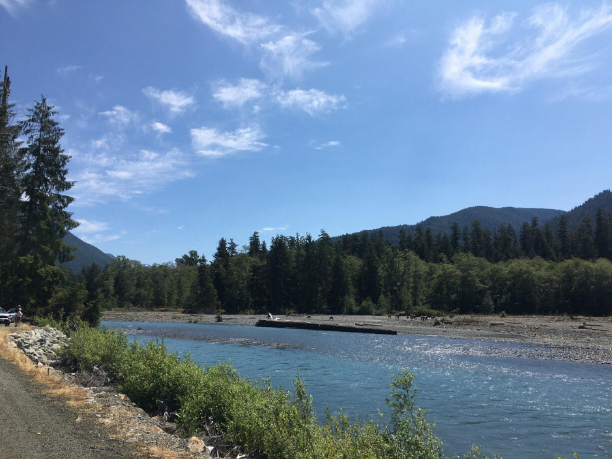 A look at the Hoh River in Olympic National Park, site of the Hoh rainforest and hiking trails.