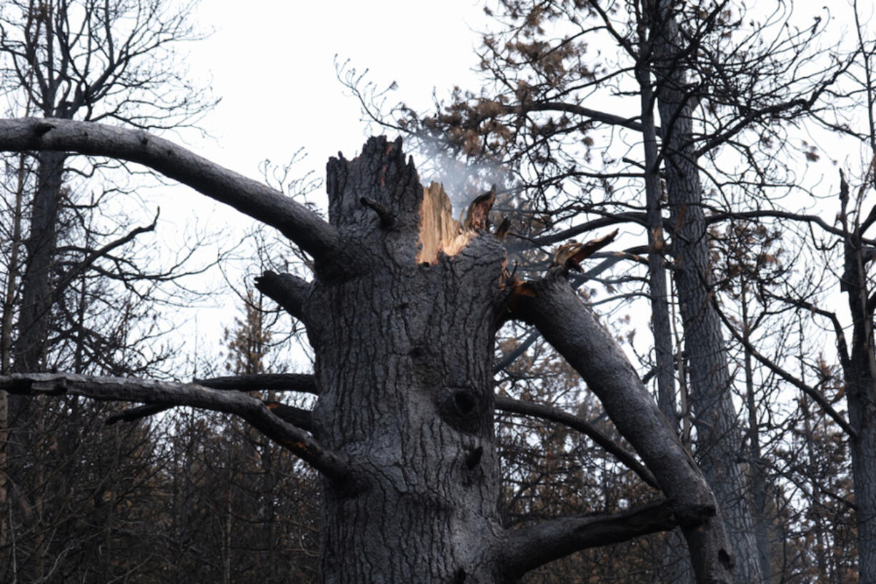 A snag continues to smoke nearly two months after the Durkee Fire in eastern Oregon.