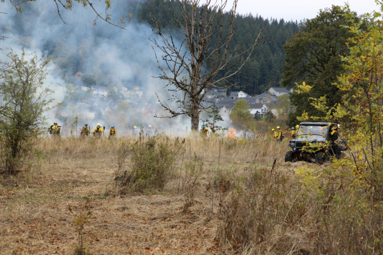 Fire crews conducting a prescribed burn Tuesday at Lacamas Prairie spread out into two lines, a burn line and a hold line, once a test fire is finished. A test fire is necessary to ensure temperature, humidity, wind and other conditions are met before the controlled burn can move forward.