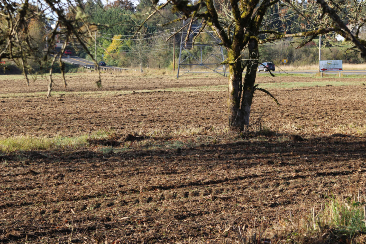 Earlier this month, the property neighboring the Lacamas Heritage Trailhead was tilled and planted with clover. Some botanists worry it has wiped out most of Washington&rsquo;s remaining Bradshaw&rsquo;s lomatium plants, although the property owners disagree.