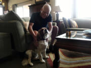 John Kofel pets his dog Kirby before giving Kirby his daily dosage of CBD and THC oils, which sit on the table next to him at right, at his home in Aurora, Colo. (Helen H.