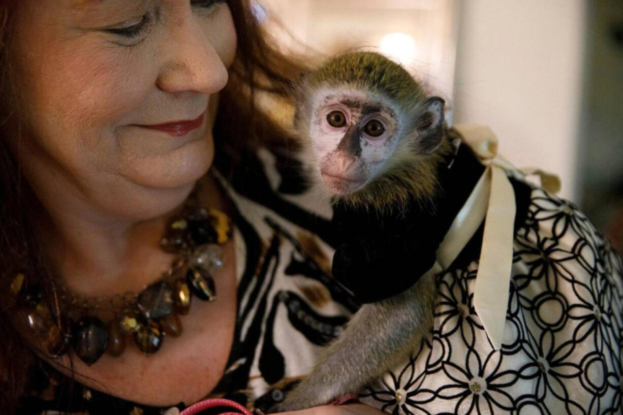 Brenna, a vervet monkey, sits on owner Donna Greenough Cantalupo&rsquo;s shoulder.