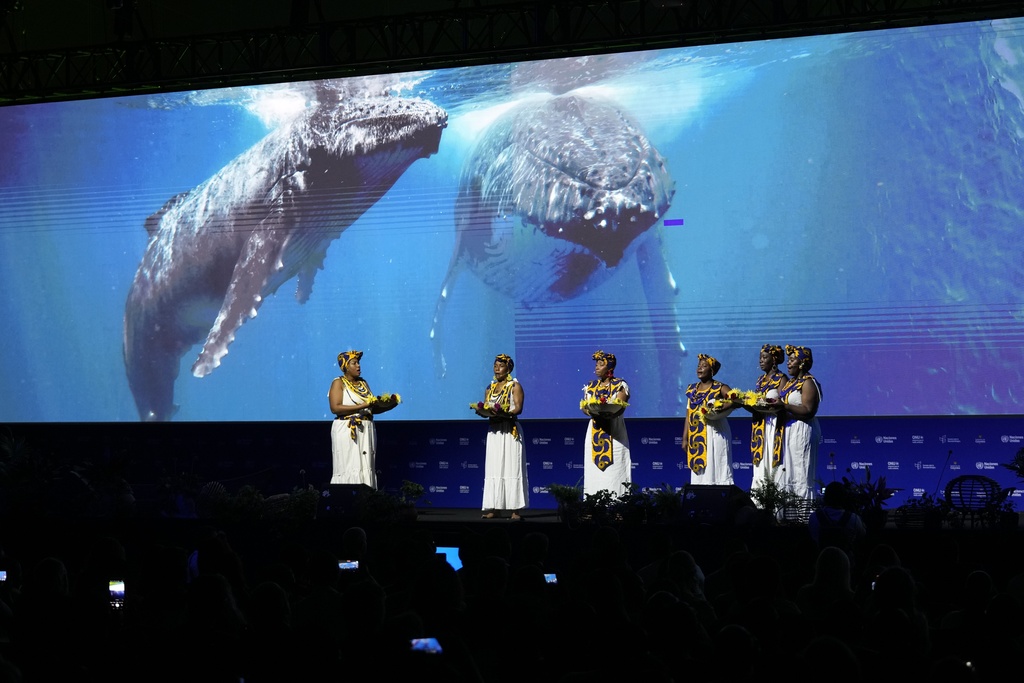 Afro-Colombian women perform during the opening ceremony of COP16, a United Nations' biodiversity conference, in Cali, Colombia, Sunday, Oct. 20, 2024.