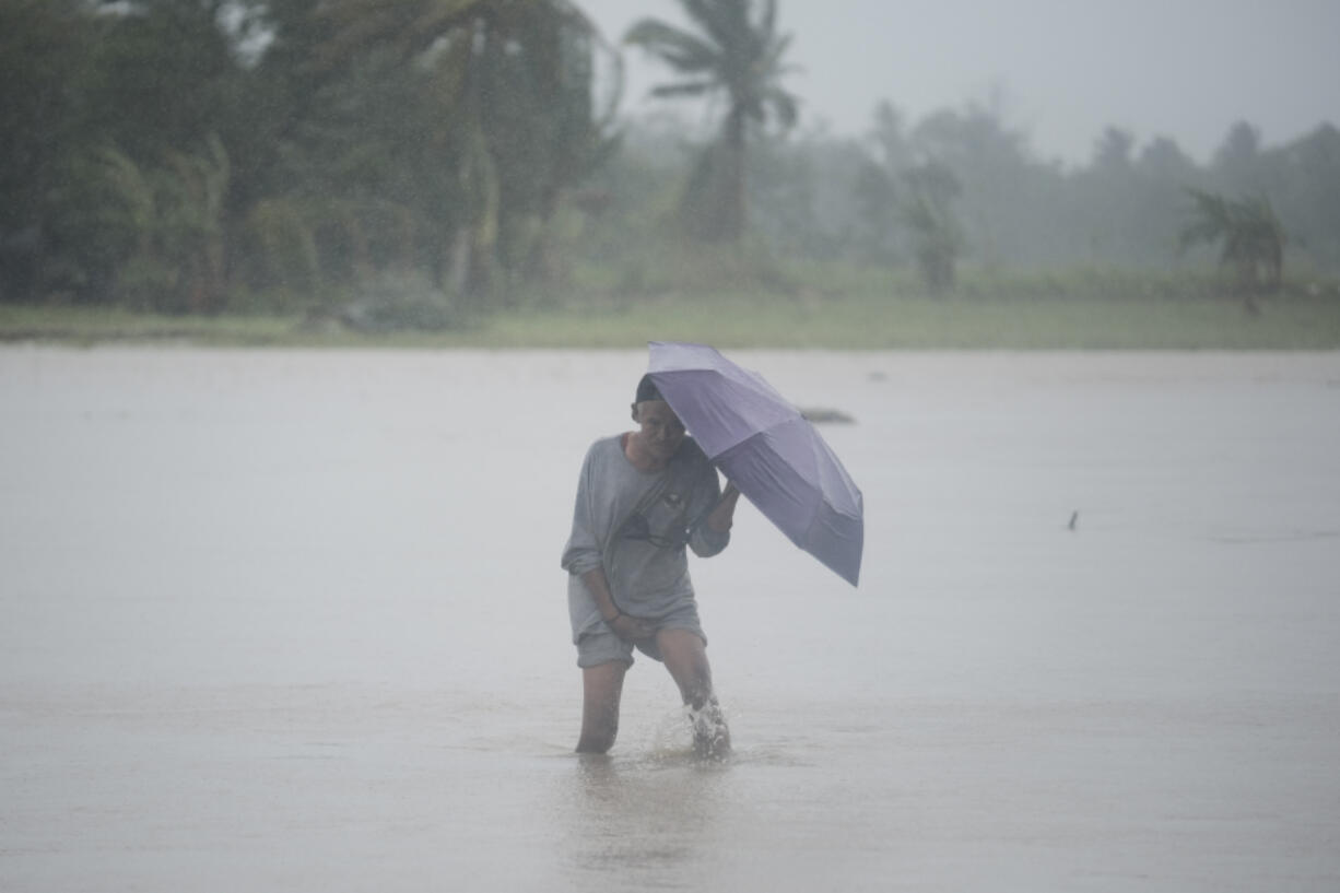 A man crosses a flooded rice field during rains on Thursday Oct. 24, 2024 after Tropical Storm Trami, locally named Kristine, dumped heavy rains at Libon town, Albay province, Philippines.