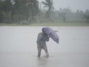 A man crosses a flooded rice field during rains on Thursday Oct. 24, 2024 after Tropical Storm Trami, locally named Kristine, dumped heavy rains at Libon town, Albay province, Philippines.