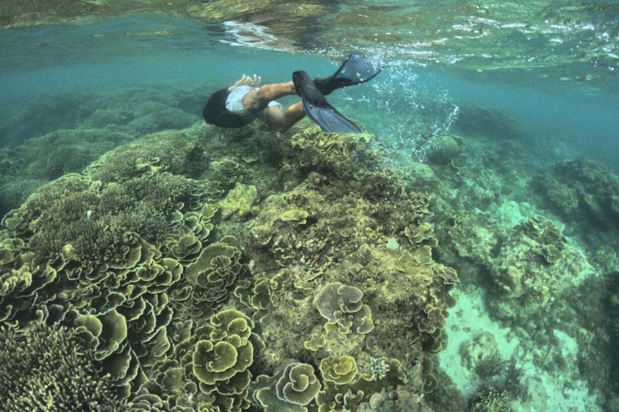 A man swims Jan. 24 along coral reefs off Verde Island, Batangas province, Philippines.