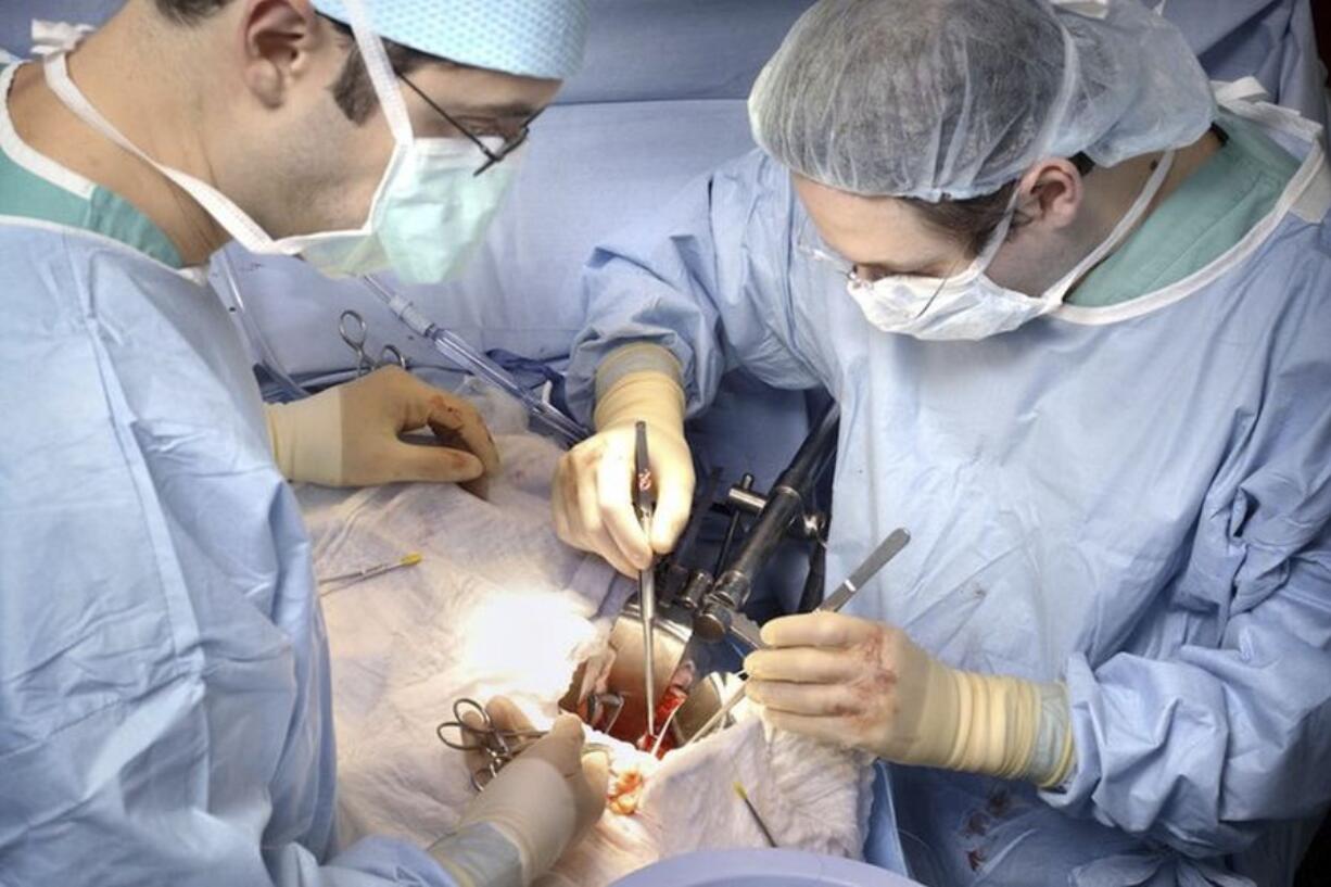 In this photo provided by Johns Hopkins Medicine, Dr. Dorry Segev, right, performs the first U.S. transplant of a kidney from a deceased donor who had HIV into a recipient living with HIV, in Baltimore, in March 2016.