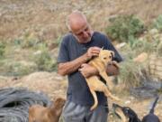 In this photo provided by Mashala Shelter, Hussein Hamza carries a puppy at his animal shelter in Kfour, south Lebanon in 2024.