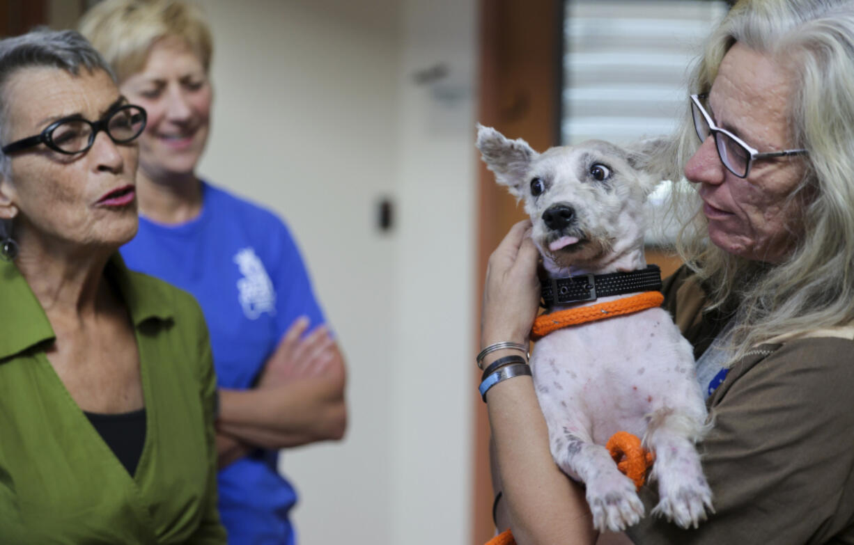 Karen Ocker, right, pets Scrim at Metairie Small Animal Hospital in Metairie, La., on Oct. 24.