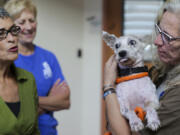 Karen Ocker, right, pets Scrim at Metairie Small Animal Hospital in Metairie, La., on Oct. 24.