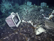 Experiments code-named &ldquo;Mesh Box Staining Gadgets&rdquo; are sealed to the seafloor at the Tica Vent, a site on the East Pacific Rise 2,500 meters deep.