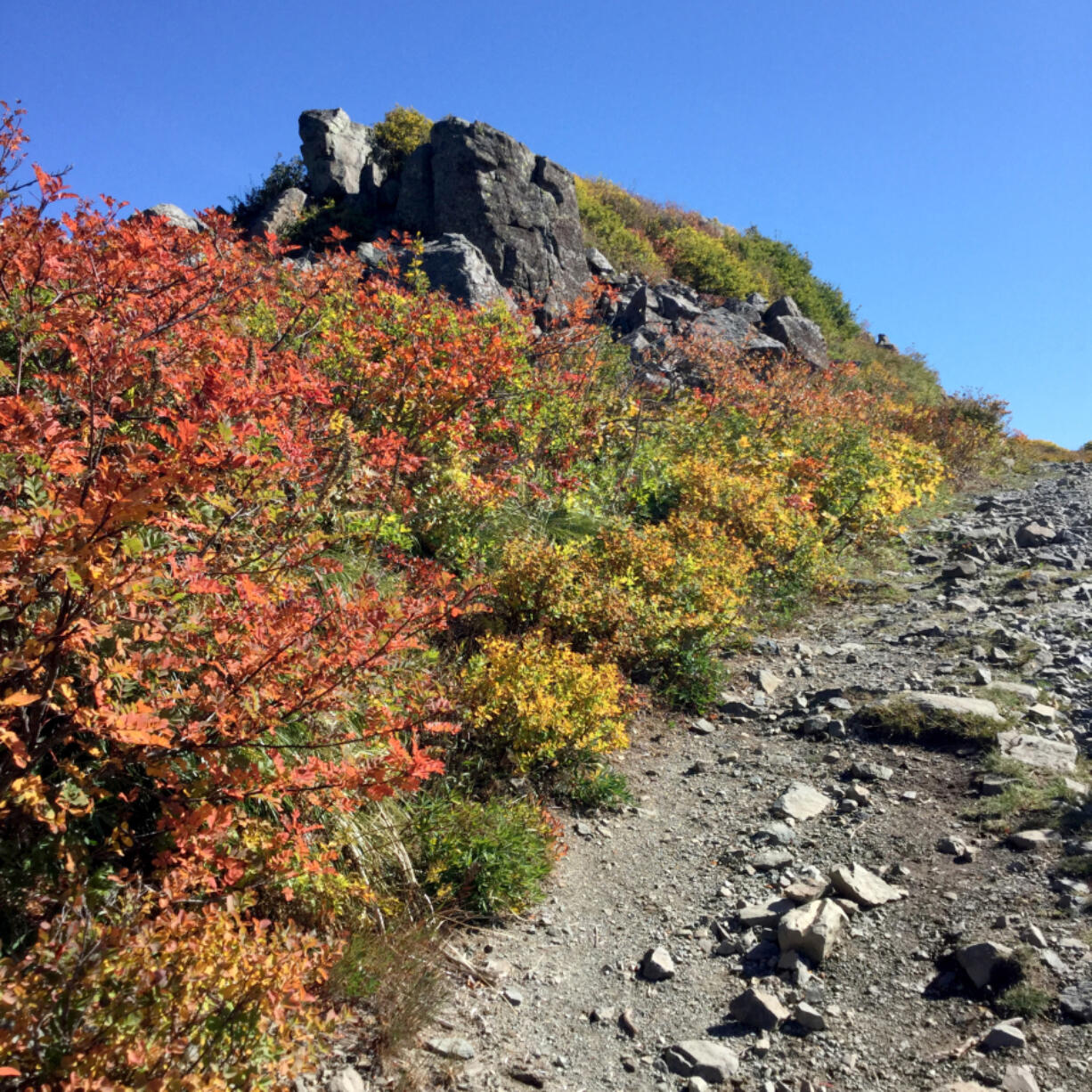 The colors on Silver Star Mountain contribute to the feeling you&rsquo;re on top of the world.